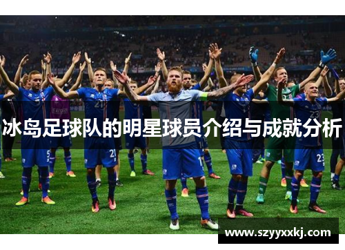 冰岛足球队的明星球员介绍与成就分析